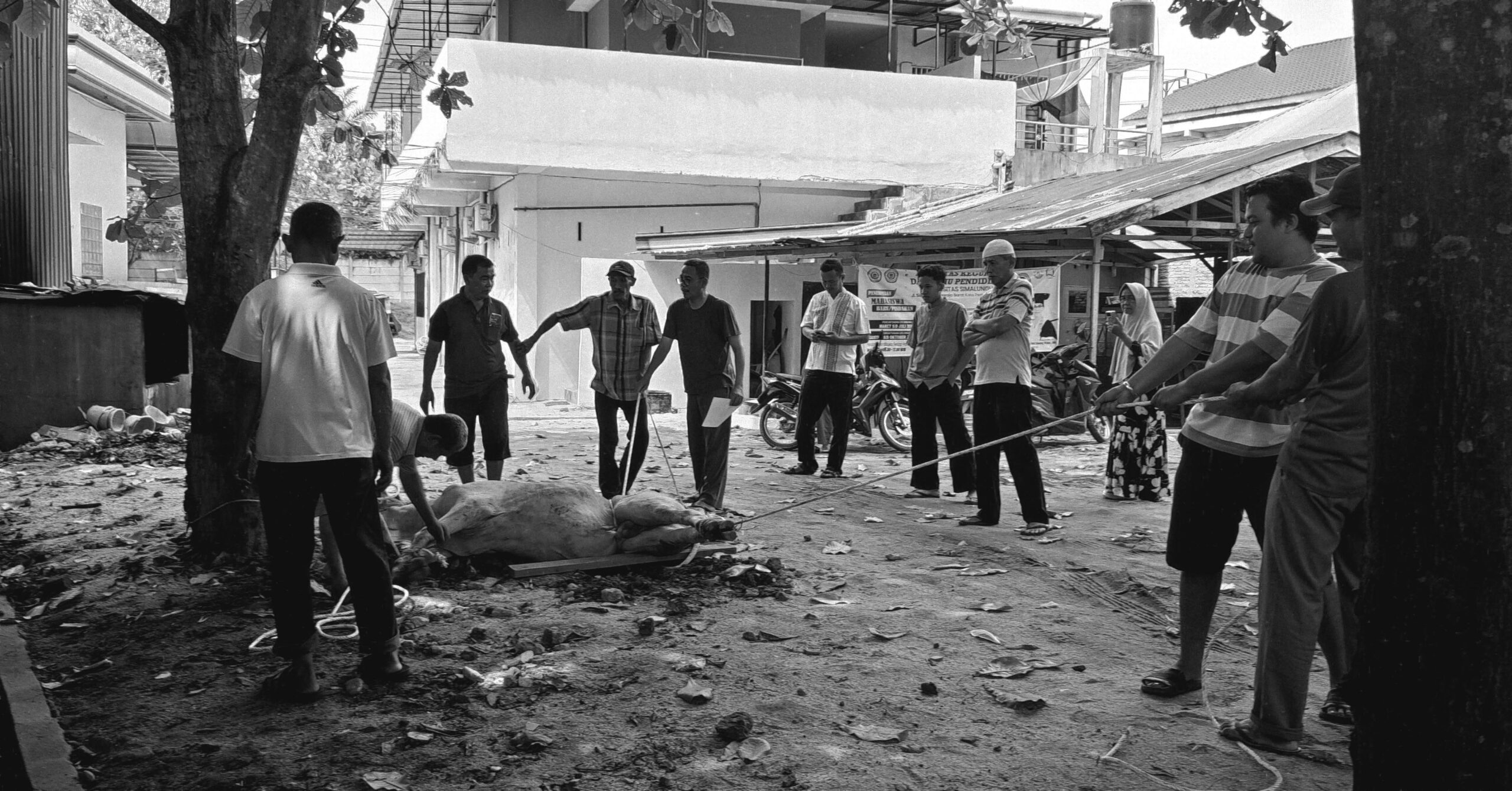 Semangat Berbagi di Hari Raya, Qurban SMK Satrya Budi 1 Perdagangan Berjalan Lancar dan Penuh Kebersamaan Semangat Berbagi di Hari Raya, Qurban SMK Satrya Budi 1 Perdagangan Berjalan Lancar dan Penuh Kebersamaan